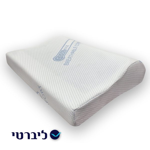 כרית גלית